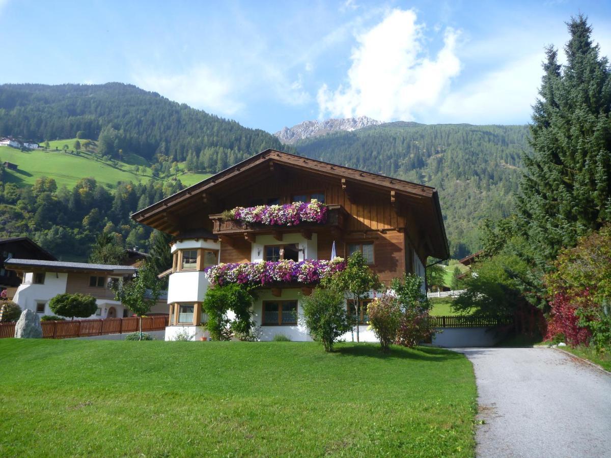 Haus Salchner Διαμέρισμα Neustift im Stubaital Εξωτερικό φωτογραφία